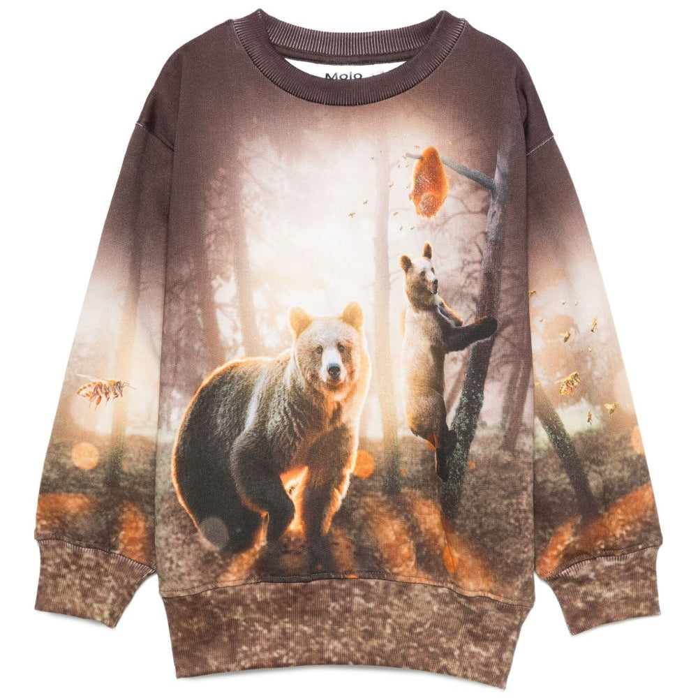 Felpa per bambino Molo marrone con stampa orso 1W25J203 9657 MOLO KIDS
