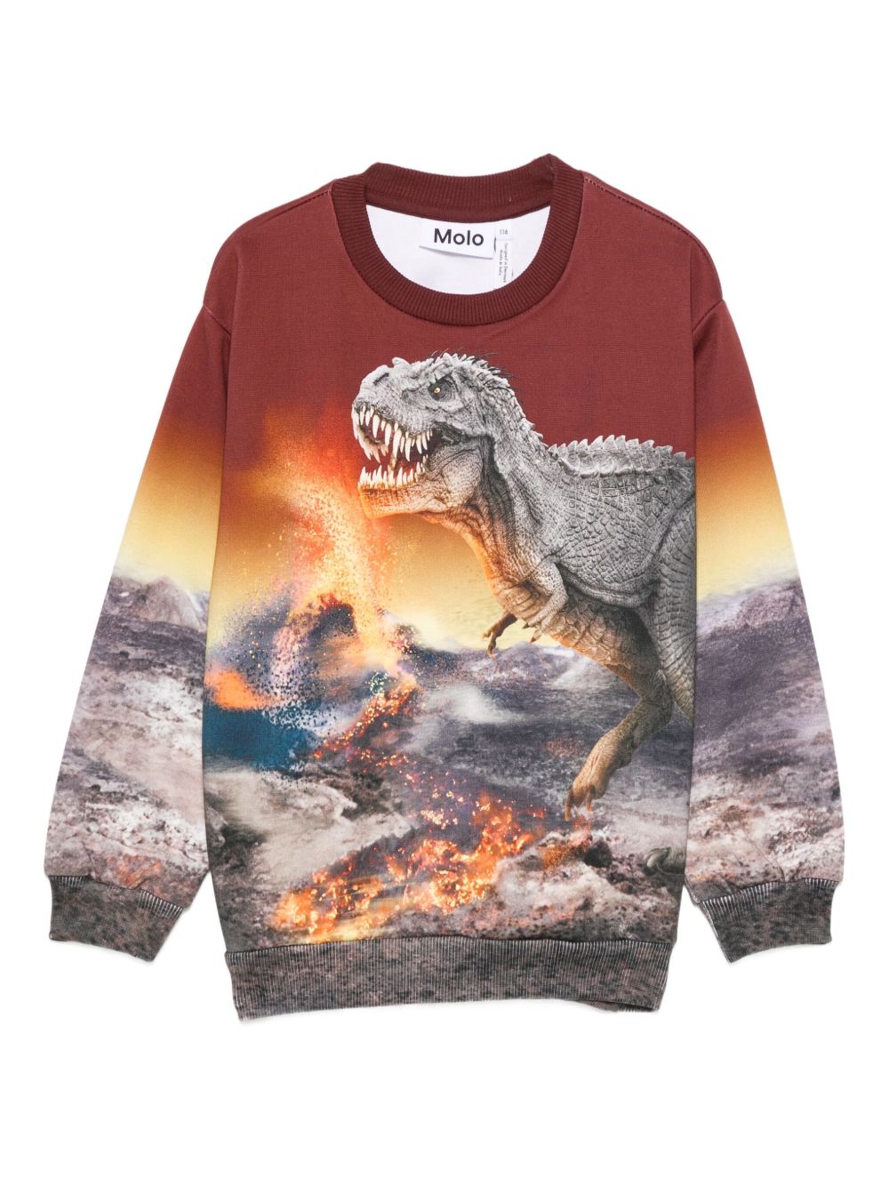 Felpa per bambino Molo multicolore con stampa dinosauro 1W25J209 9723 MOLO KIDS
