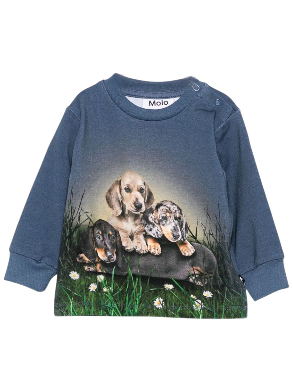 Felpa per neonato Molo blu con stampa cane 6W25A404 9679 MOLO KIDS