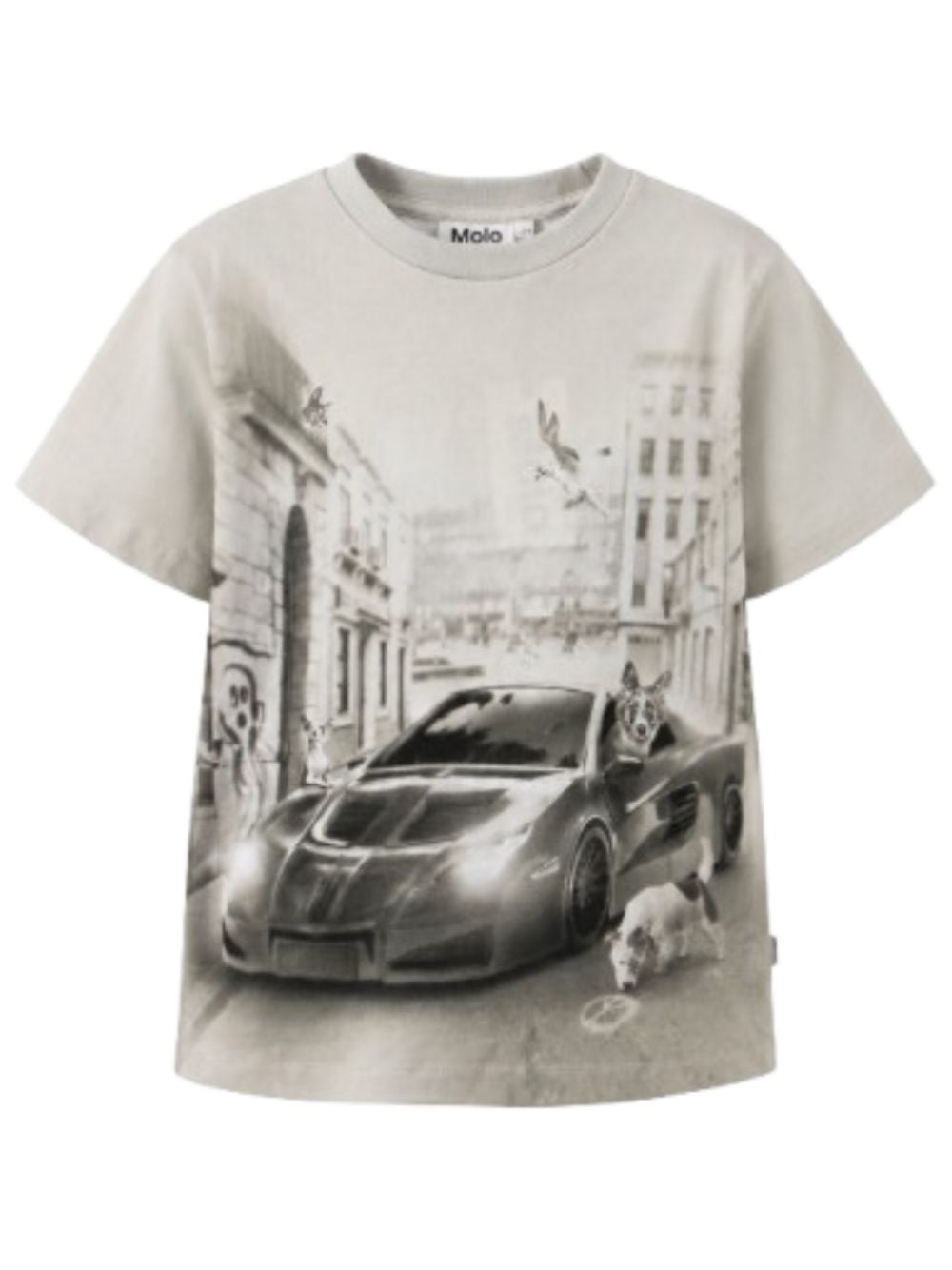 T-shirt per bambino Molo Kids grigia con stampa fotografica 1W26A203 5922 MOLO KIDS