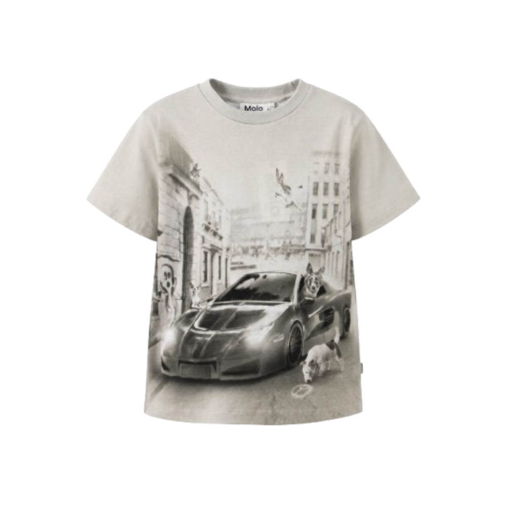 T-shirt per bambino Molo Kids grigia con stampa fotografica 1W26A203 5922 MOLO KIDS