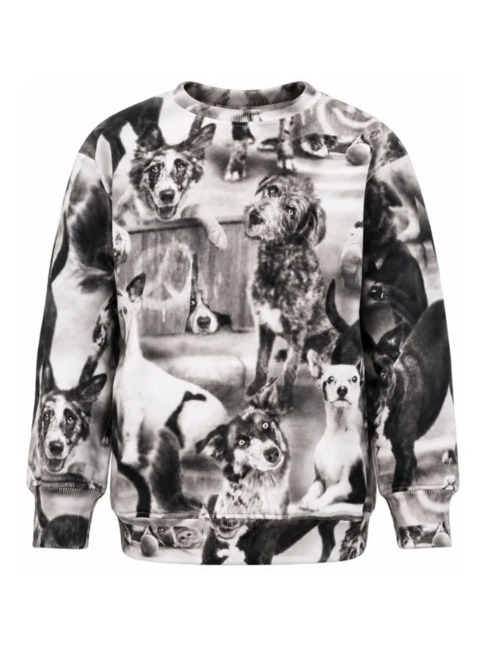 Felpa per bambino Molo Kids bianca e nera con stampa grafica animali all-over 1W26J201 6248 MOLO KIDS