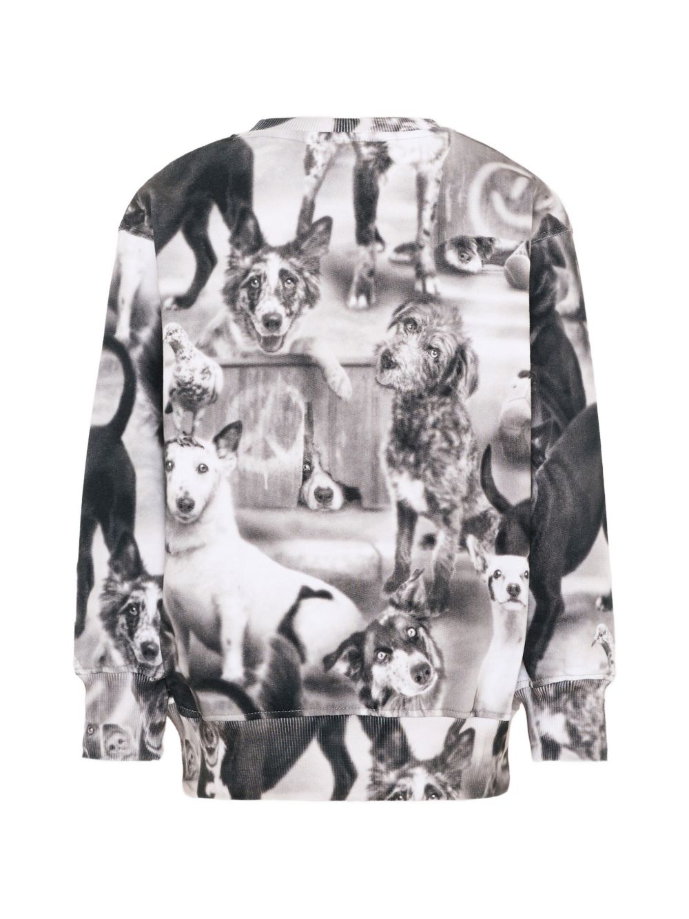 Felpa per bambino Molo Kids bianca e nera con stampa grafica animali all-over 1W26J201 6248 MOLO KIDS