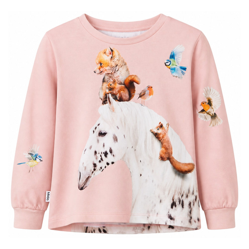 T-shirt per bambina Molo Kids rosa a maniche lunghe 2W26A411 5751 MOLO KIDS