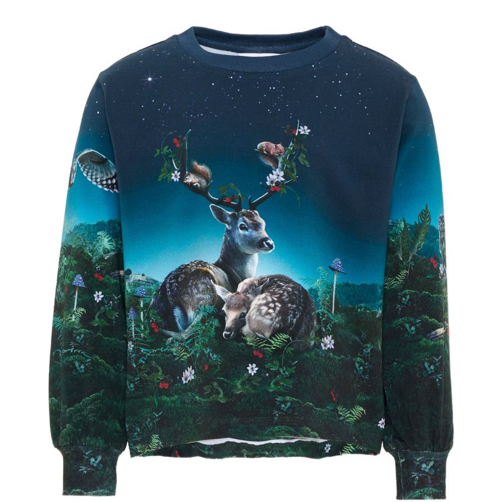 Felpa per bambina Molo Kids blu con stampa grafica animali 2W26A411 5794 MOLO KIDS