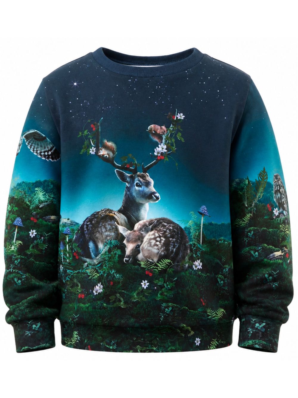 Felpa per bambina Molo Kids blu con stampa grafica animali 2W26A411 5794 MOLO KIDS