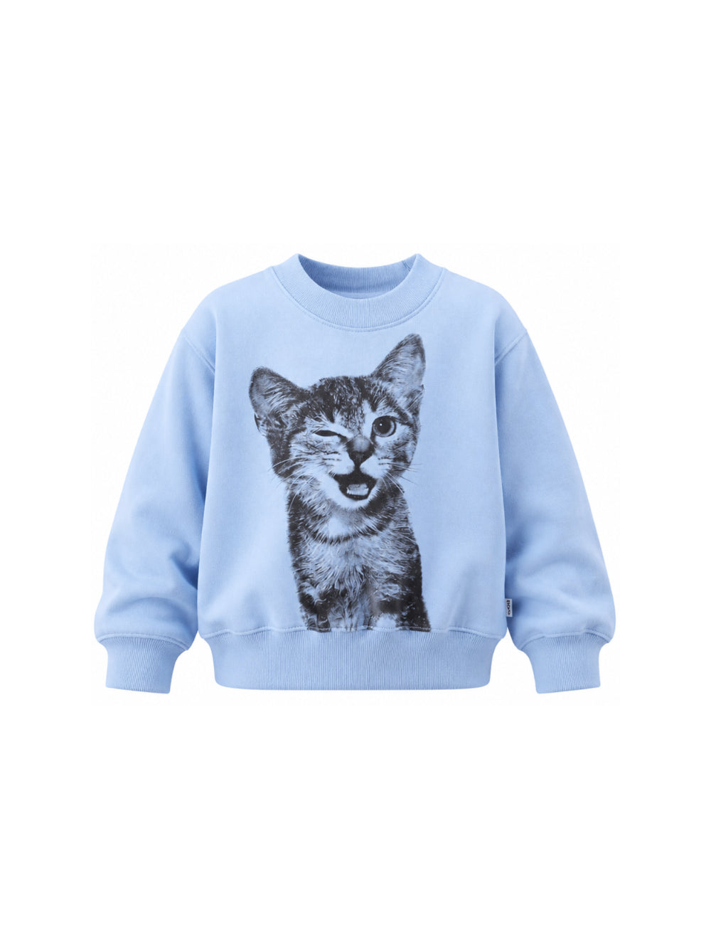 Felpa per bambina Molo Kids azzurra con stampa grafica gattino 2W26J201 5747 MOLO KIDS
