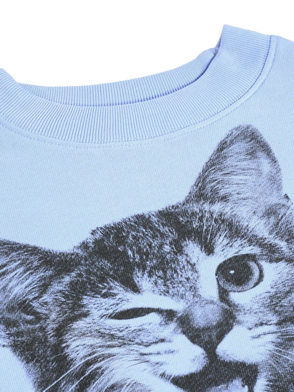 Felpa per bambina Molo Kids azzurra con stampa grafica gattino 2W26J201 5747 MOLO KIDS