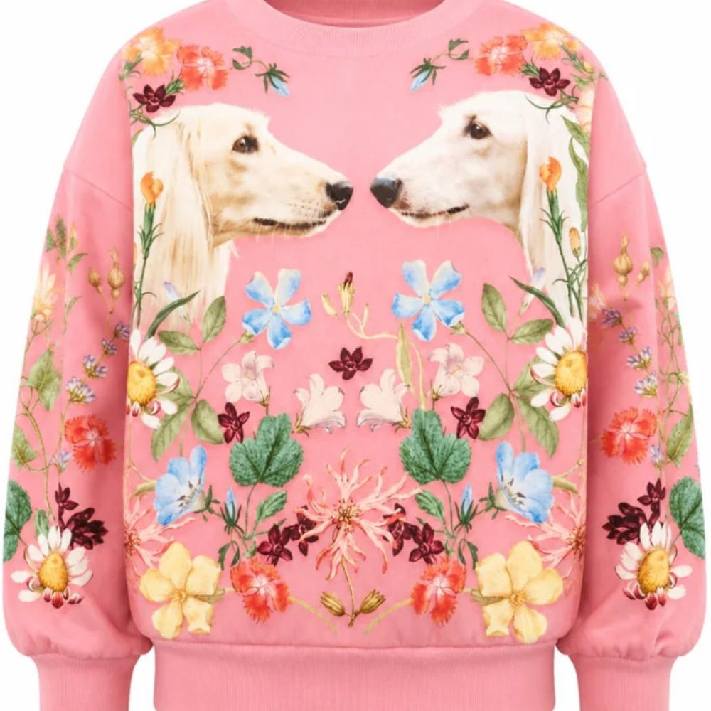 Felpa per bambina Molo Kids rosa con stampa grafica sul davanti 2W26J202 5776 MOLO KIDS