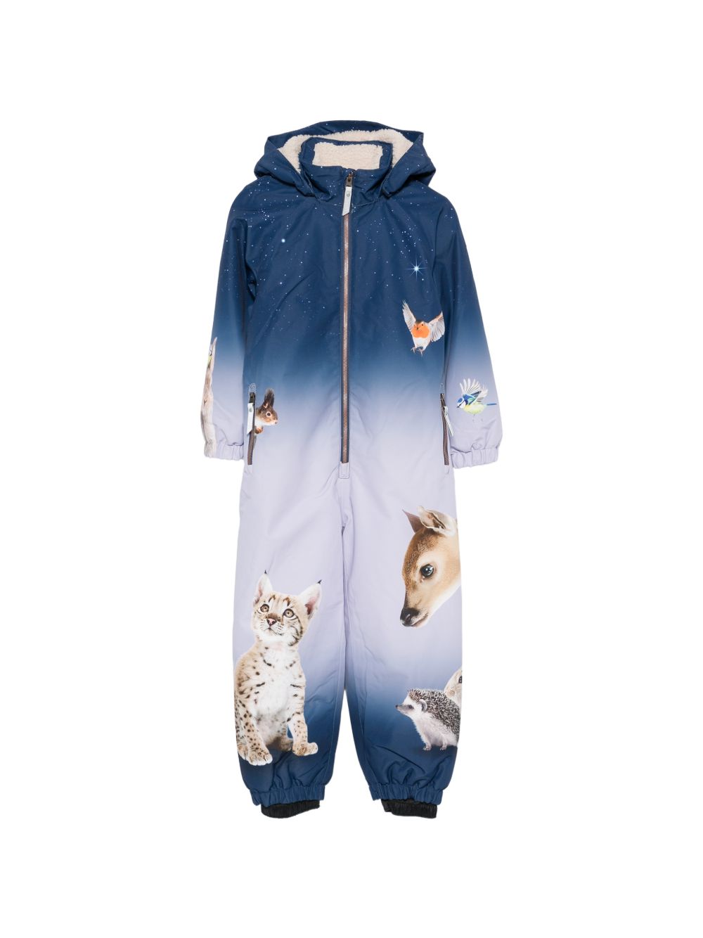 Tuta da neve per bambino Molo Kids blu con stampa grafica animali 5W26N203 5713 MOLO KIDS