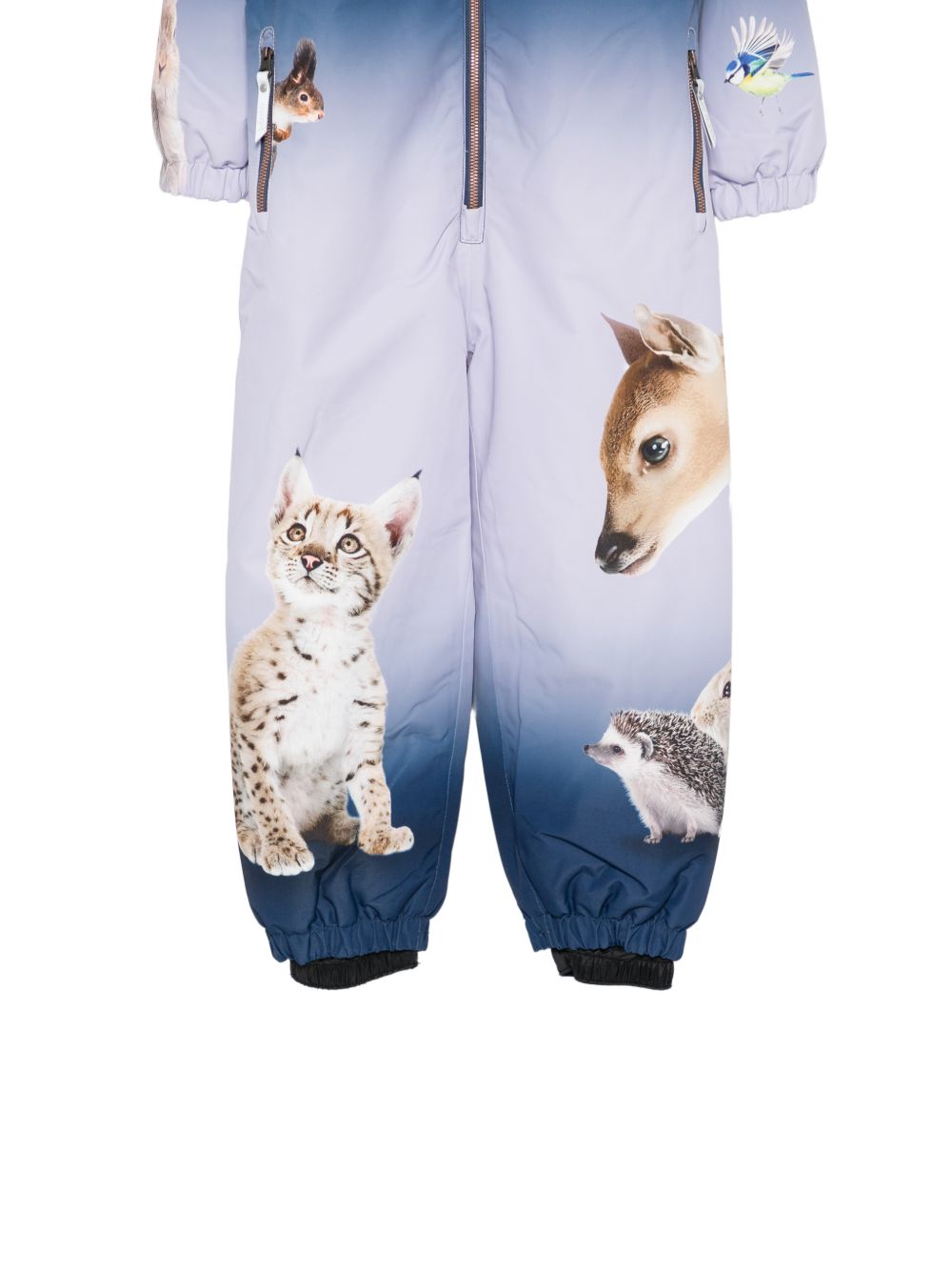 Tuta da neve per bambino Molo Kids blu con stampa grafica animali 5W26N203 5713 MOLO KIDS