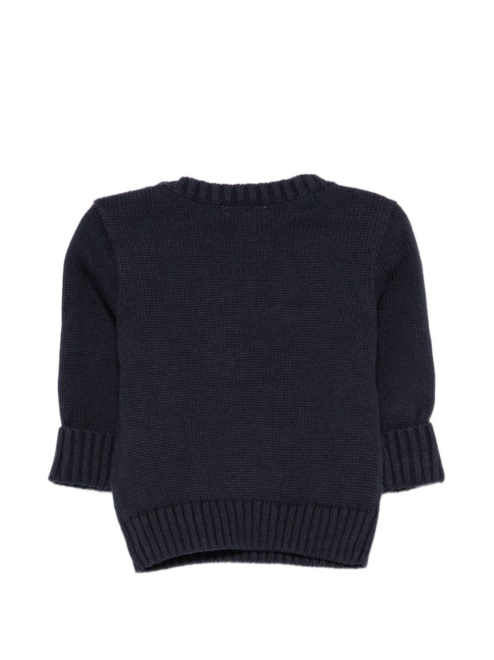 Maglione per neonato Polo Ralph Lauren Kids blu con intarsio a forma di cane 320B28343 001 Ralph Lauren kids