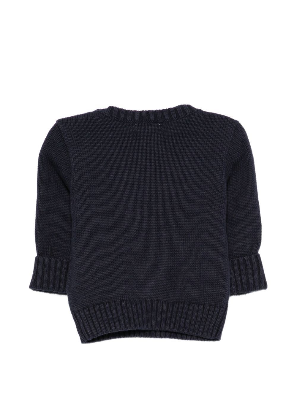 Maglione per neonato Polo Ralph Lauren Kids blu con intarsio a forma di cane 320B28343 001 Ralph Lauren kids