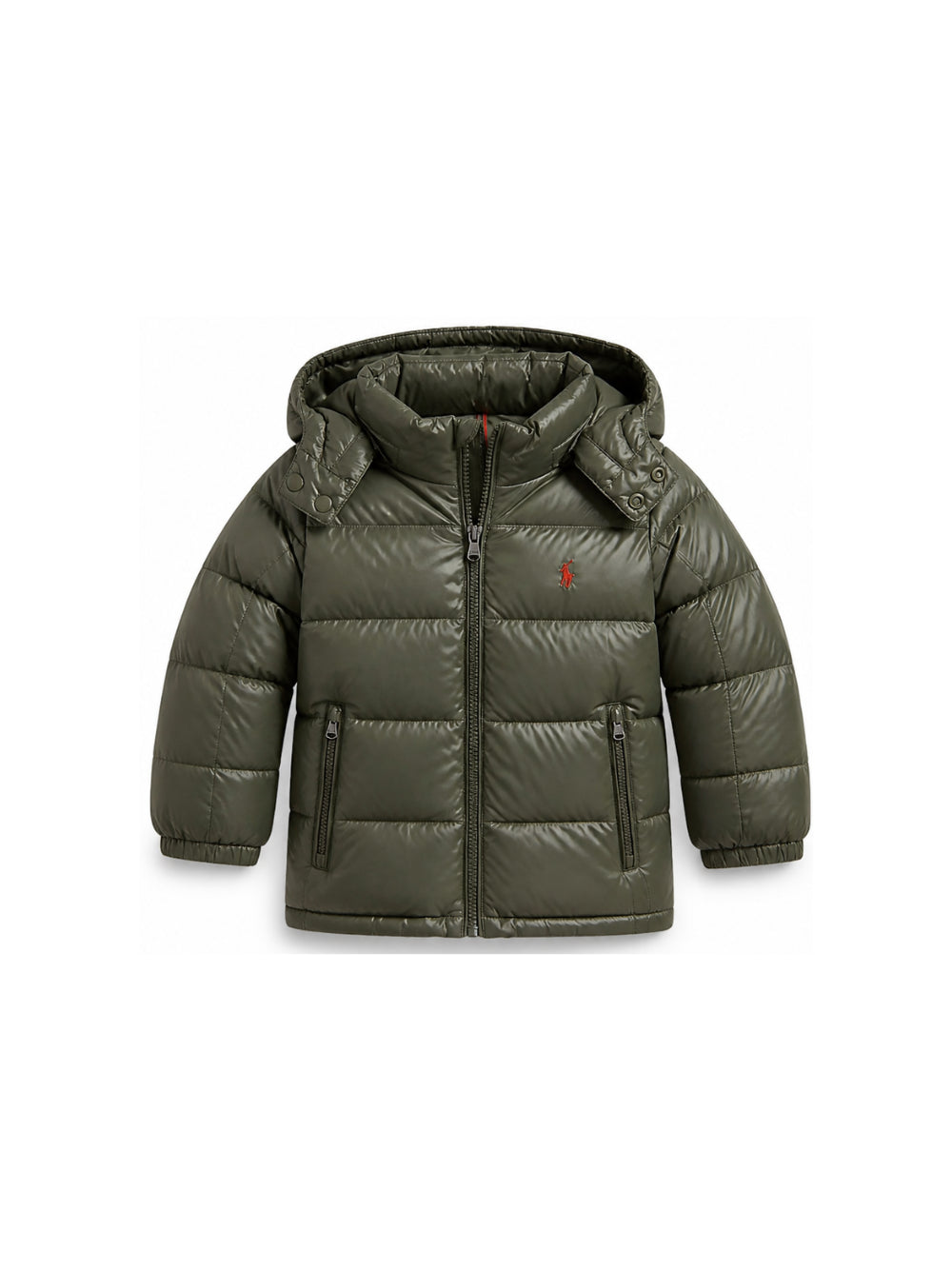 Giubbino per bambino Polo Ralph Lauren Kids verde con caratteristico motivo Polo Pony 322978459 500 Ralph Lauren kids