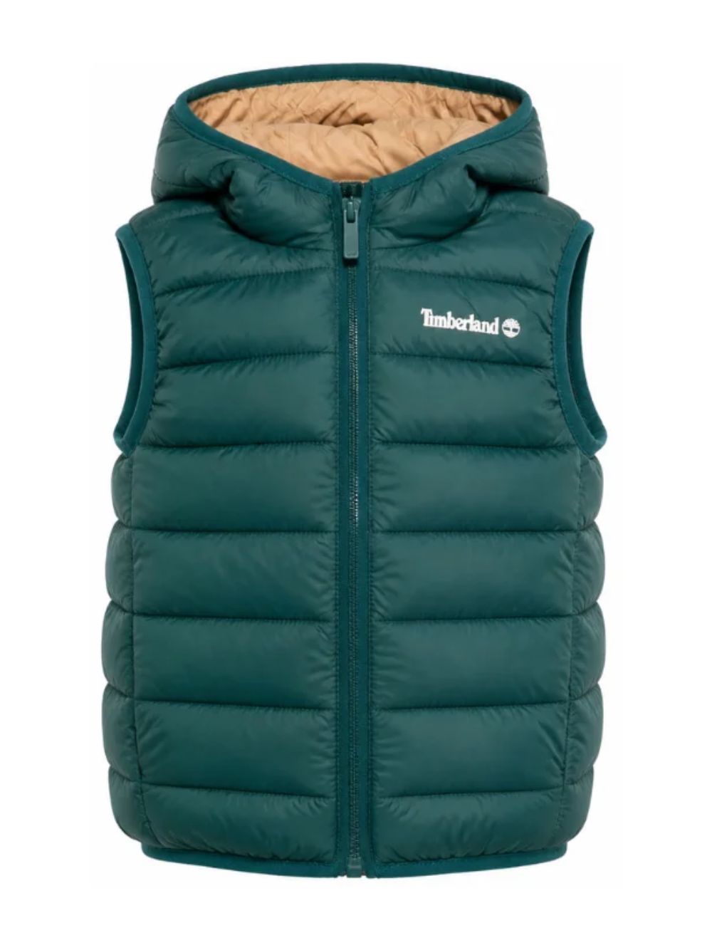Smanicato per bambino Timberland Kids verde con stampa logo sul petto T60378 68R TIMBERLAND KIDS