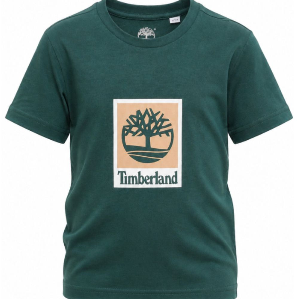 T-shirt per bambino Timberland Kids verde con stampa logo T60969 68R TIMBERLAND KIDS