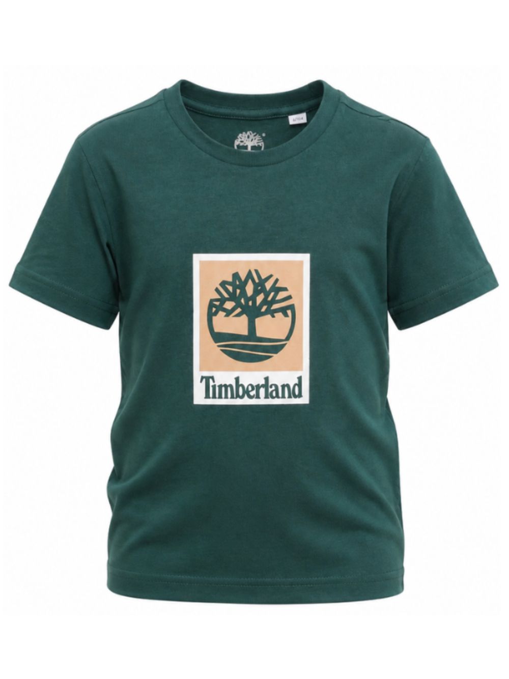T-shirt per bambino Timberland Kids verde con stampa logo T60969 68R TIMBERLAND KIDS