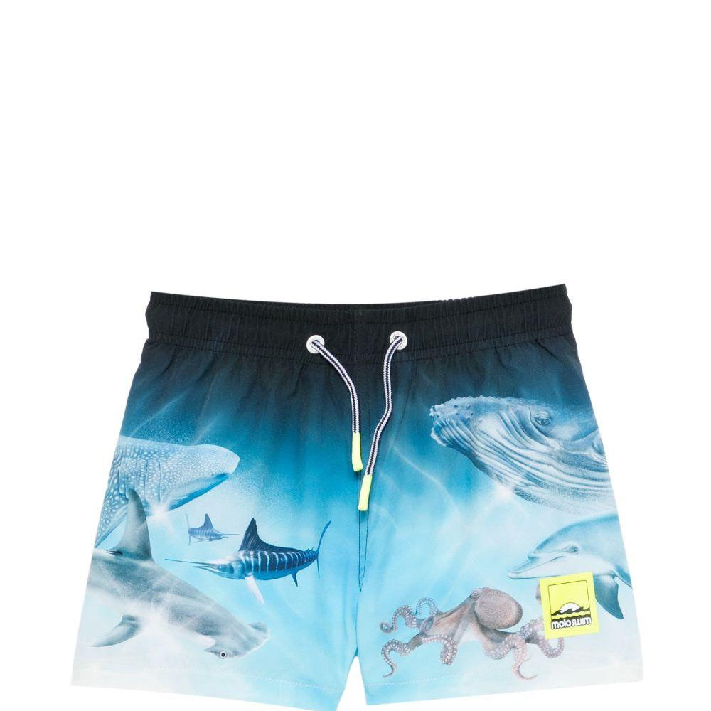 Costume da bagno per bambino Molo azzurri con stampa animali marini 8S26P402 5213 MOLO KIDS