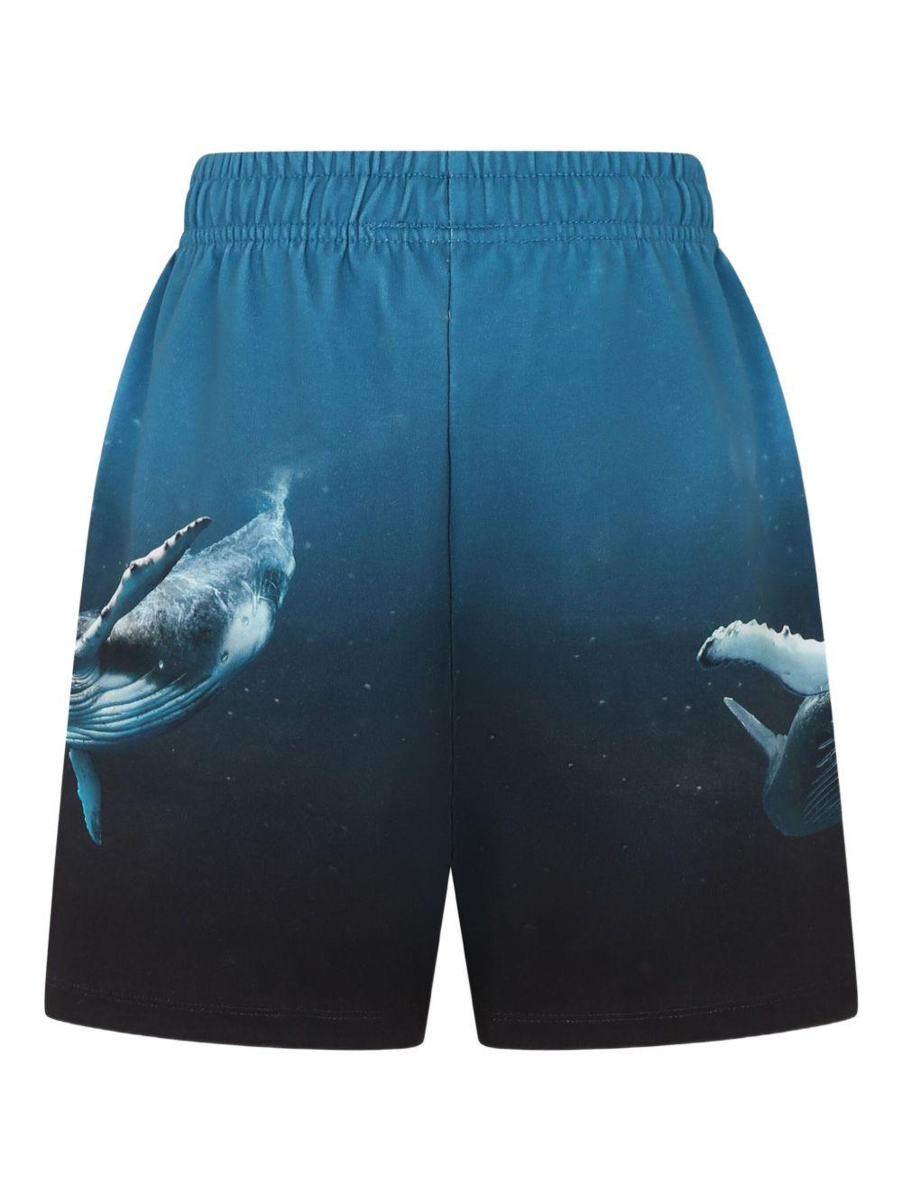 Shorts per bambino Molo blu con stampa grafica 1S25H207 3871 MOLO KIDS