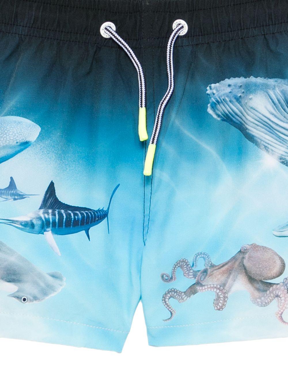 Costume da bagno per bambino Molo azzurri con stampa animali marini 8S26P402 5213 MOLO KIDS