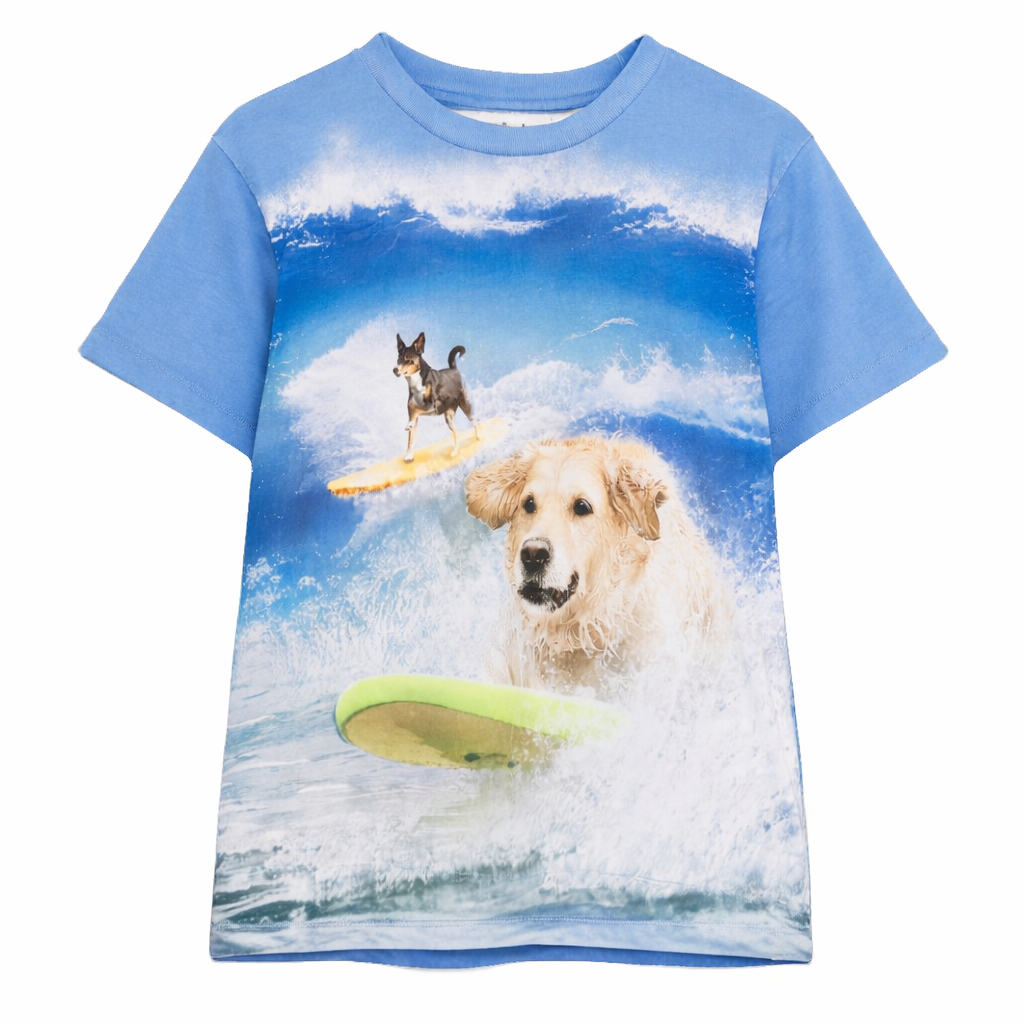 T-shirt per bambino Molo Kids azzurro con scollo rotondo 1S26A206 9880 MOLO KIDS