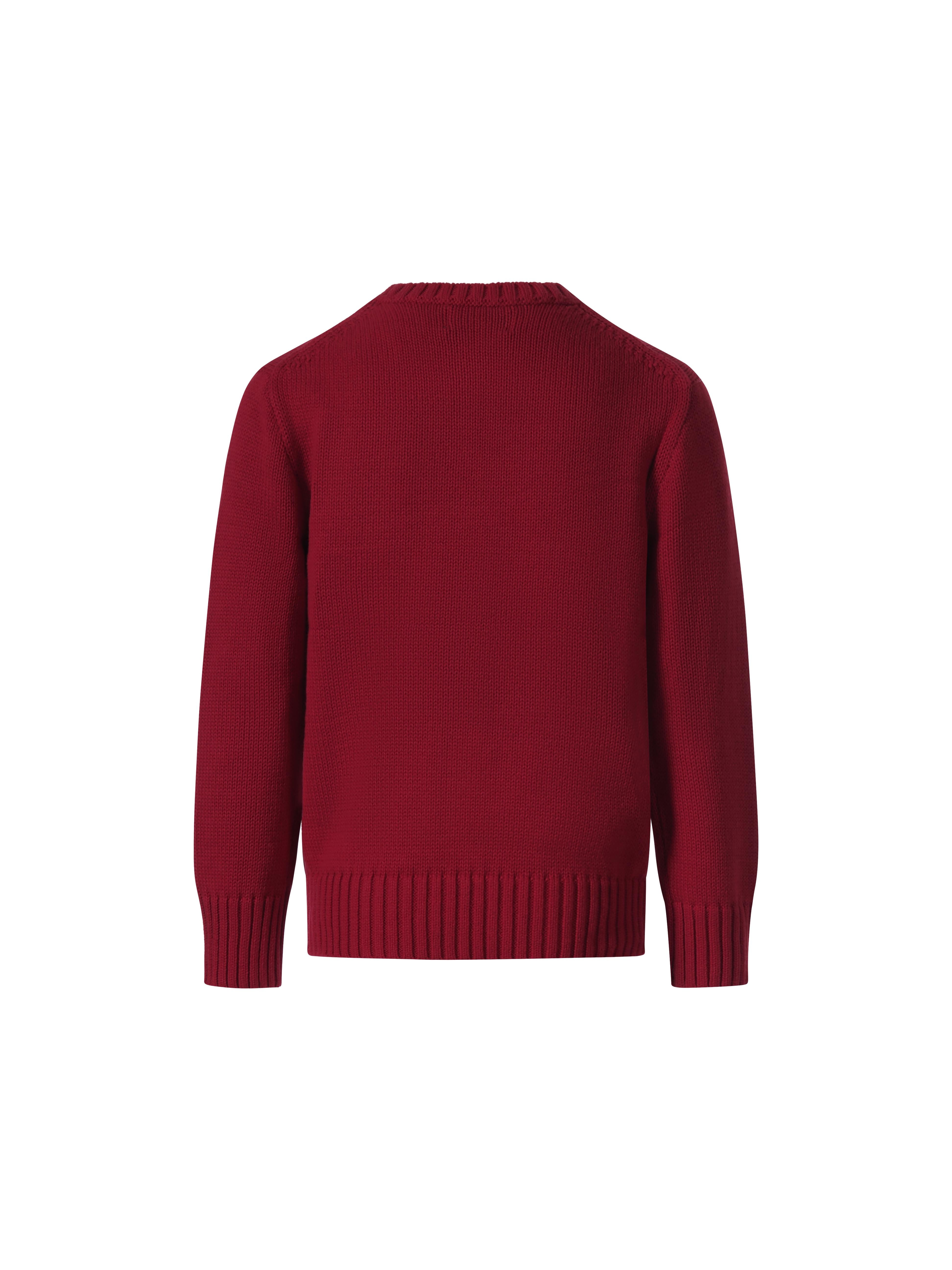 Maglione per bambino Polo Ralph Lauren Kids rosso con stampa grafica sul davanti 322A10260 001 Ralph Lauren kids