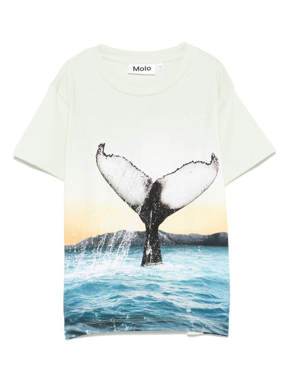 T-shirt per bambino Molo Rame verde con stampa grafica 1S25A212 3869 MOLO KIDS