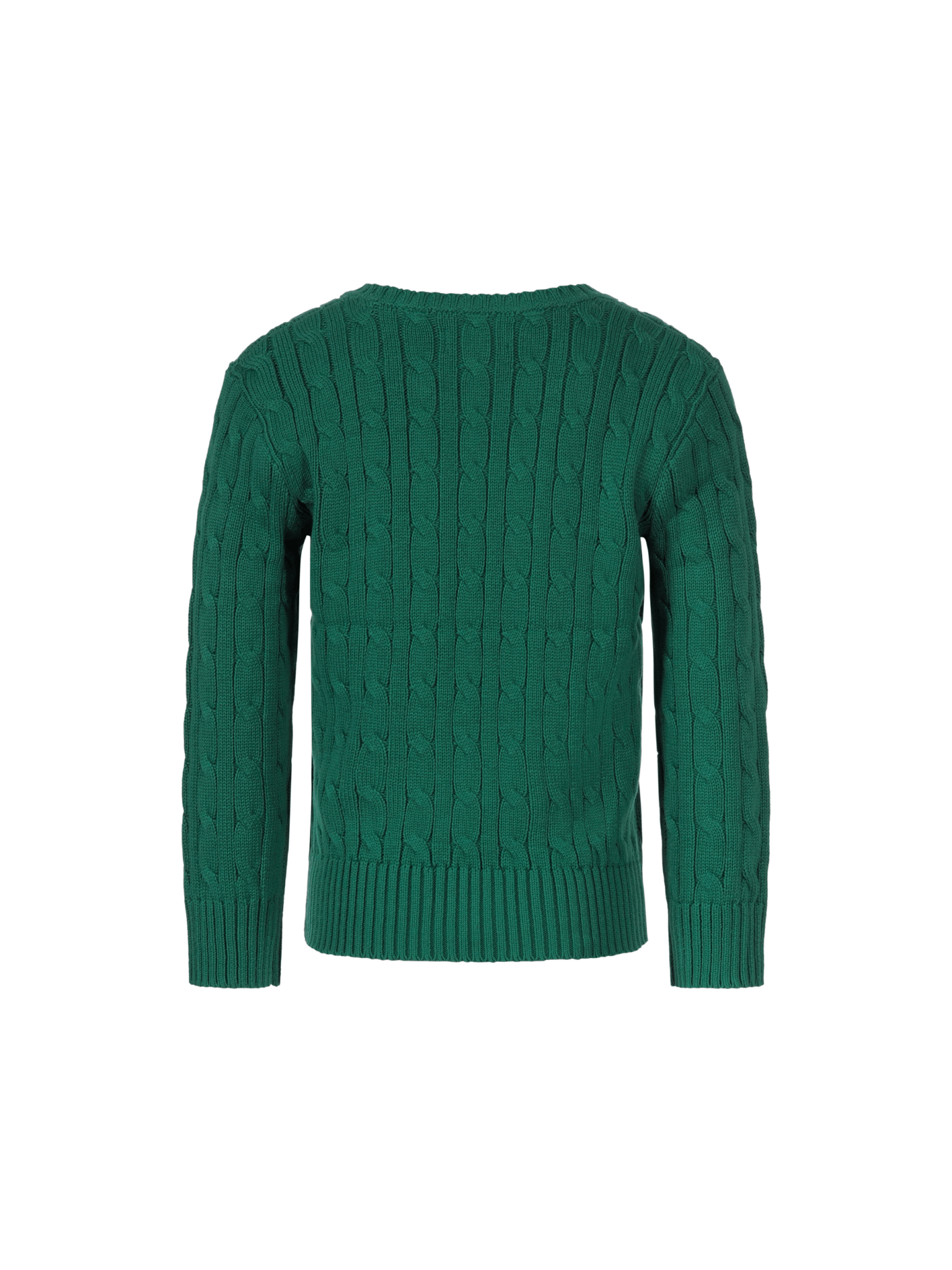 Maglione per bambino Polo Ralph Lauren Kids verde con ricamo Polo Pony sul davanti - Rubino Kids
