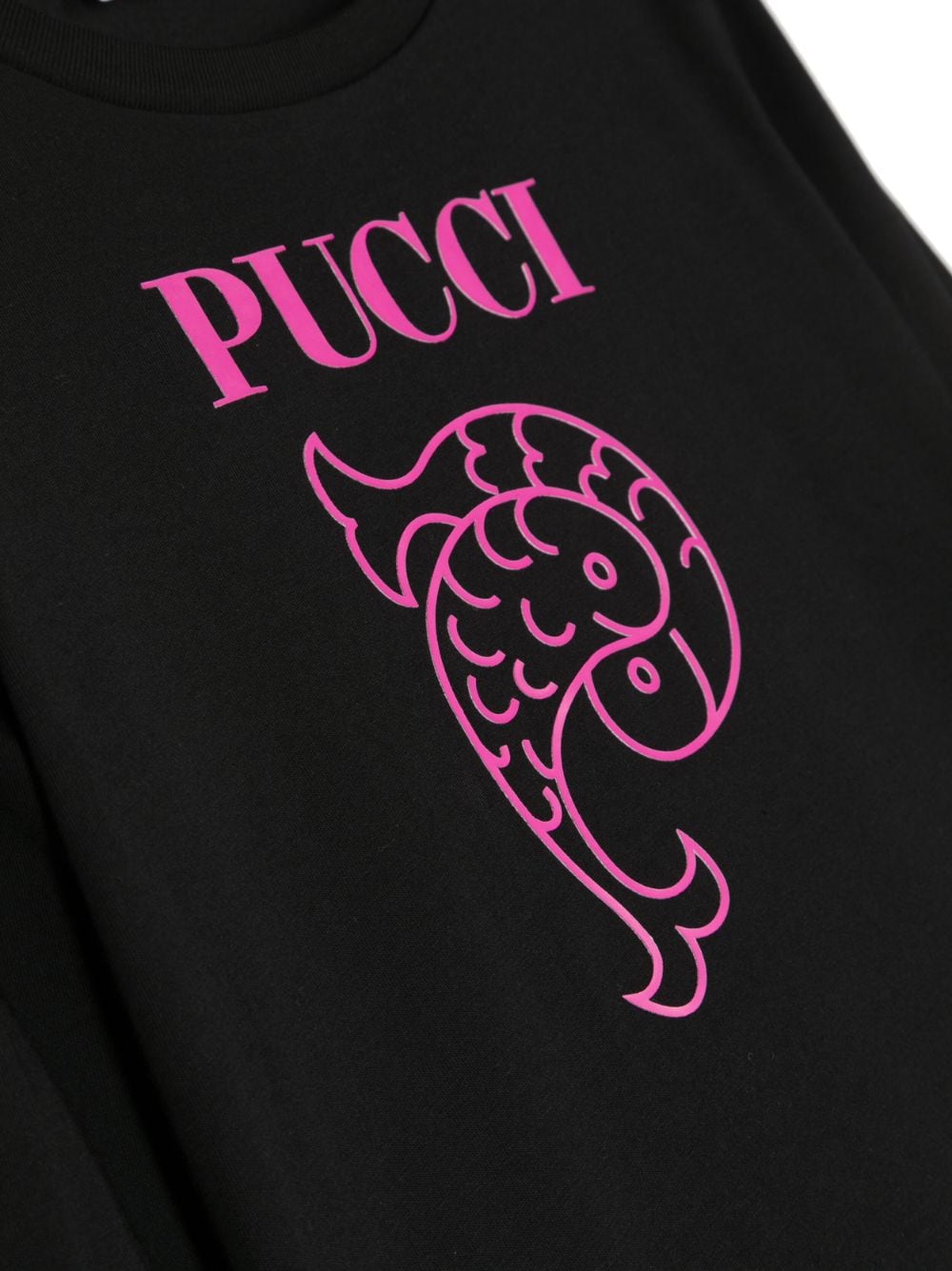 Pisces printed t-shirt