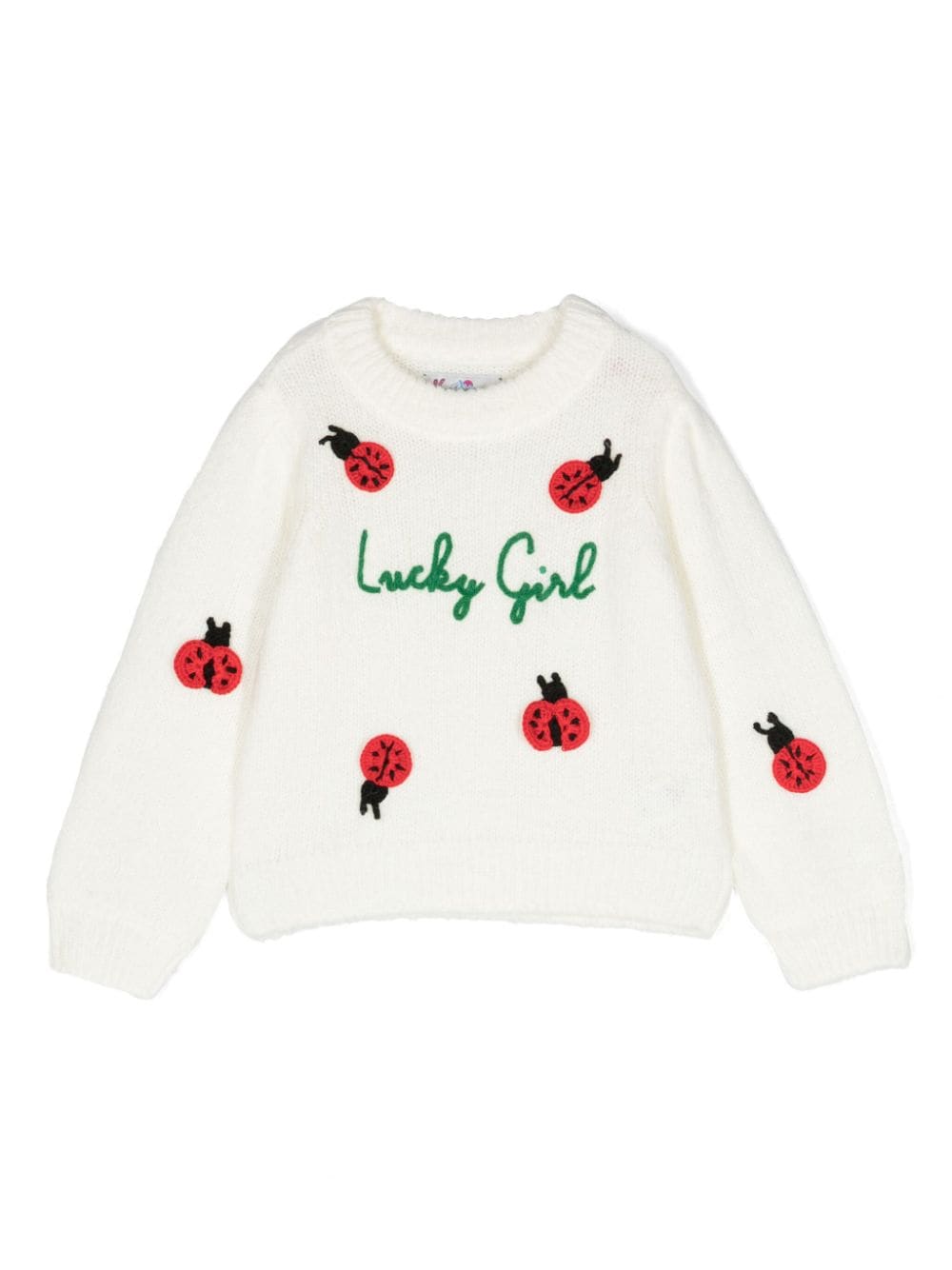 Maglione girocollo Ladybug