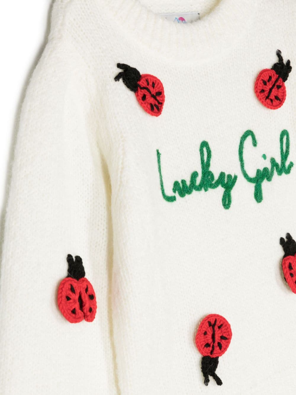 Maglione girocollo Ladybug