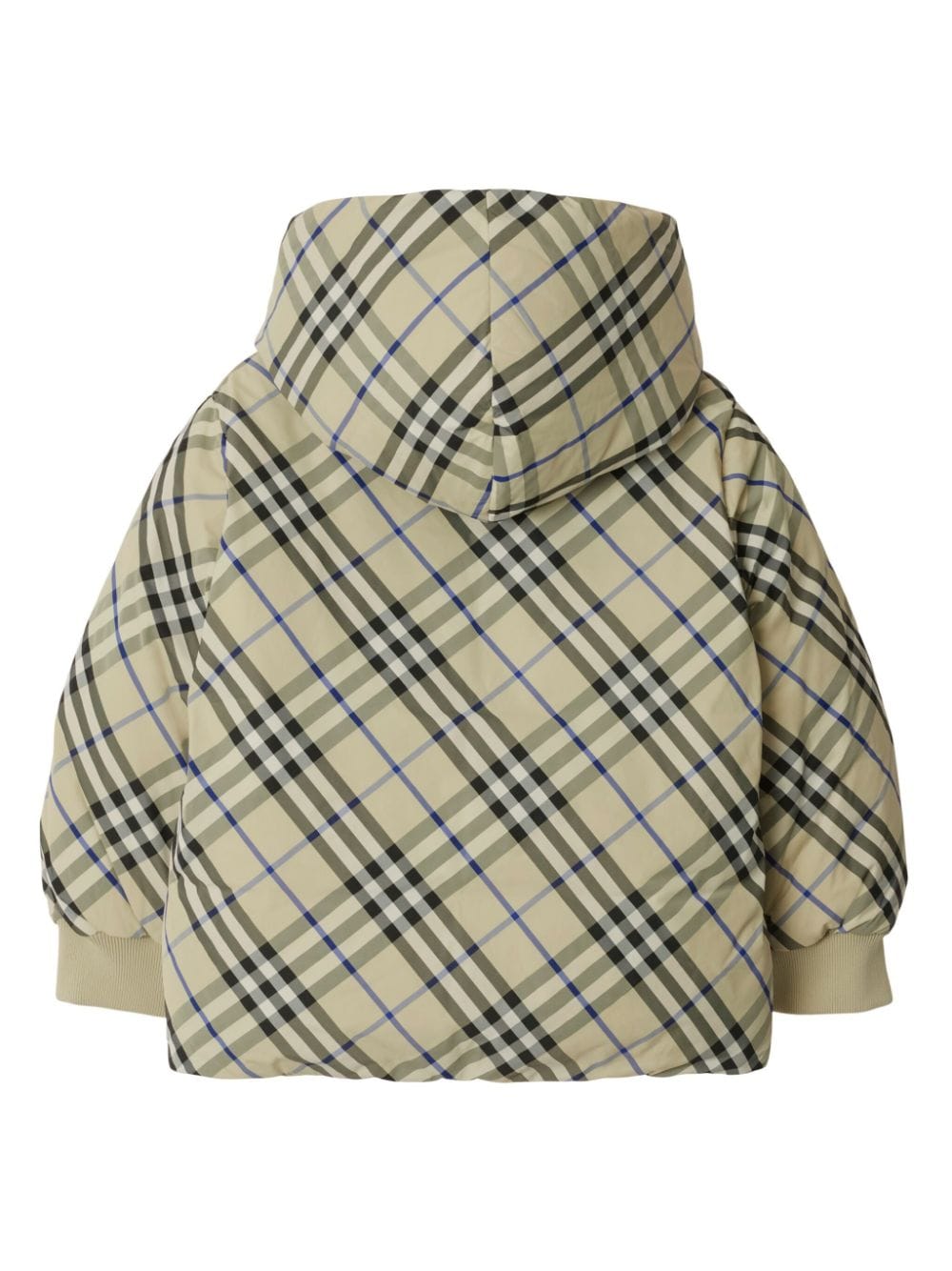 BURBERRY KIDS 8088519B9629