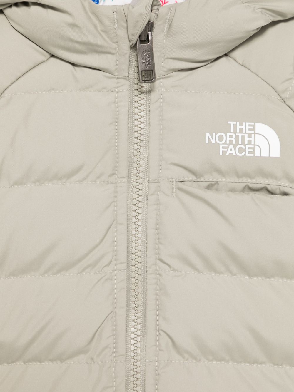 THE NORTH FACE NF0A88W31I41