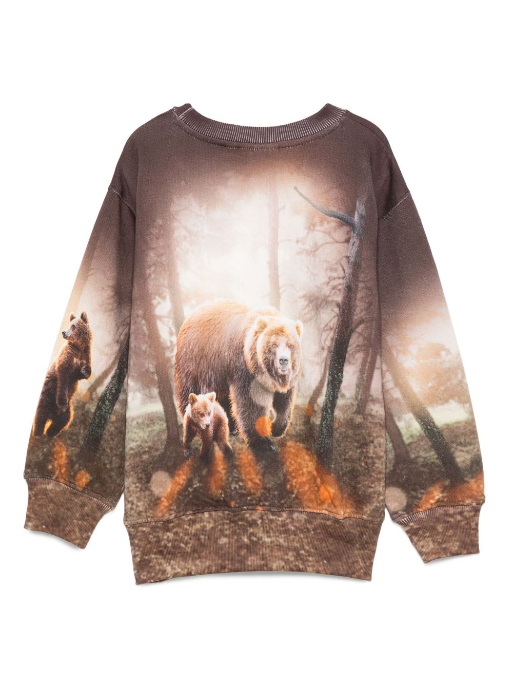 Felpa per bambino Molo marrone con stampa orso 1W25J203 9657 MOLO KIDS 