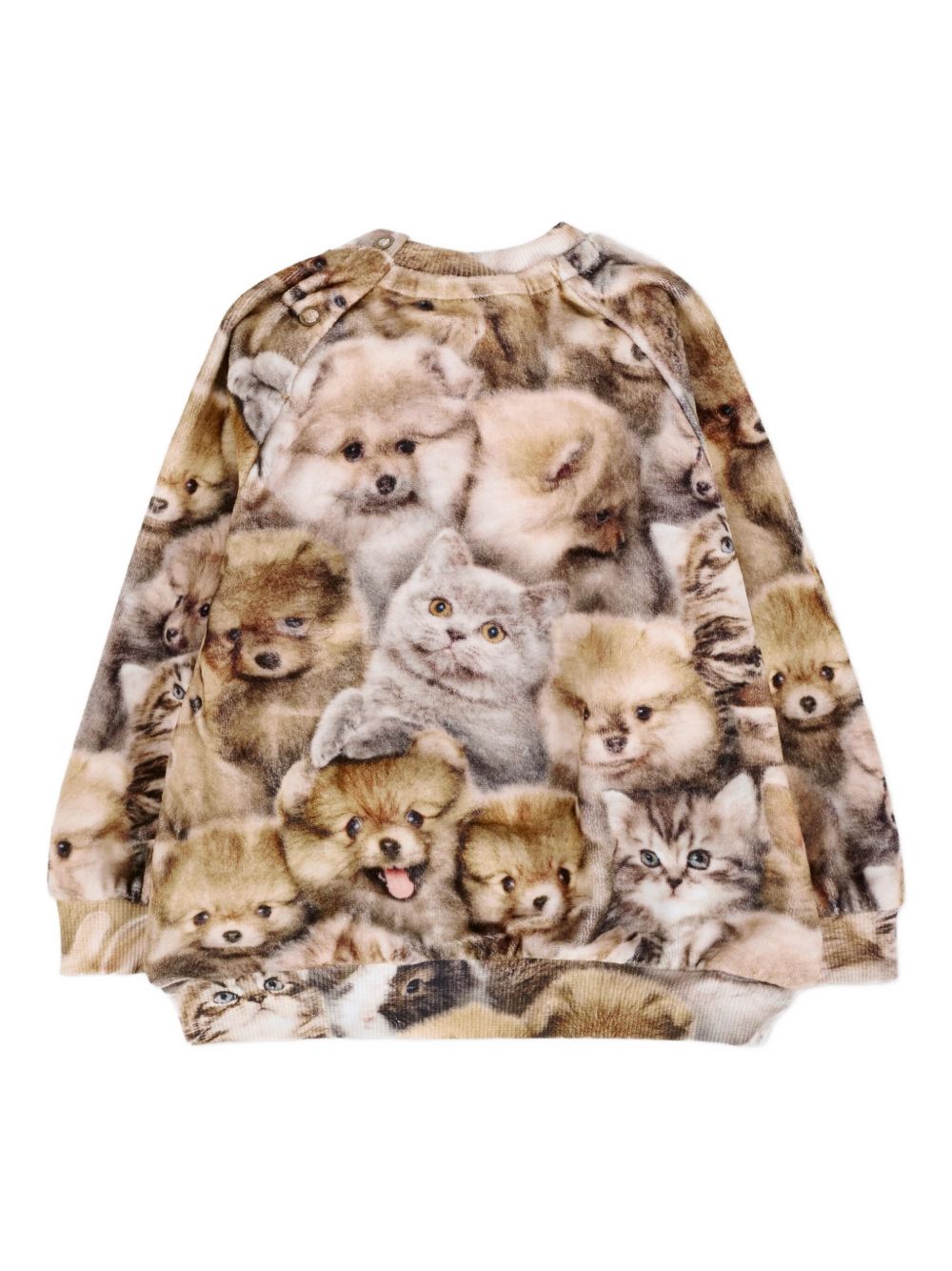 Felpa per neonata Molo marrone con stampa animali 4W25J203 9377 MOLO KIDS 