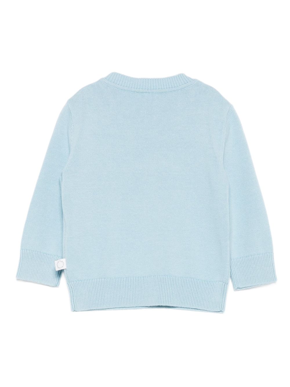 Maglione per neonato Stella McCartney Kids azzurri con ricamo scoiattolo TX9550 Z1876 670 STELLA McCARTNEY KIDS 