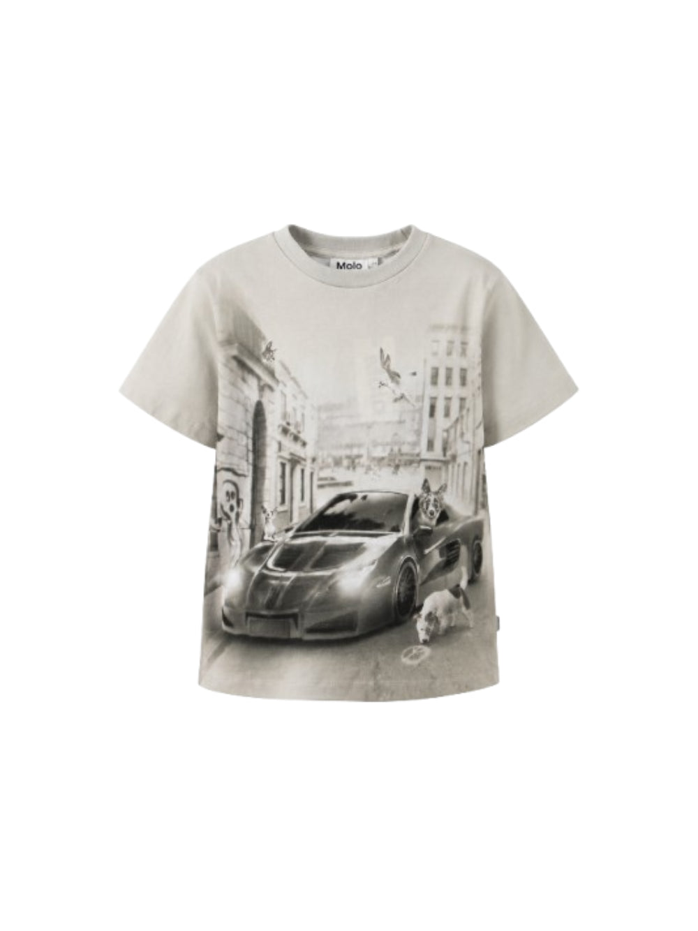 T-shirt per bambino Molo Kids grigia con stampa fotografica 1W26A203 5922 MOLO KIDS 