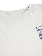 T-shirt per bambino Molo Kids grigia con dettagli sulle maniche 1W26A416 9798 MOLO KIDS 