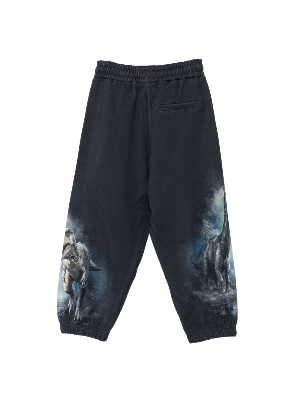 Pantaloni per bambino Molo Kids blu con stampa dinosauri 1W26I210 9946 MOLO KIDS 