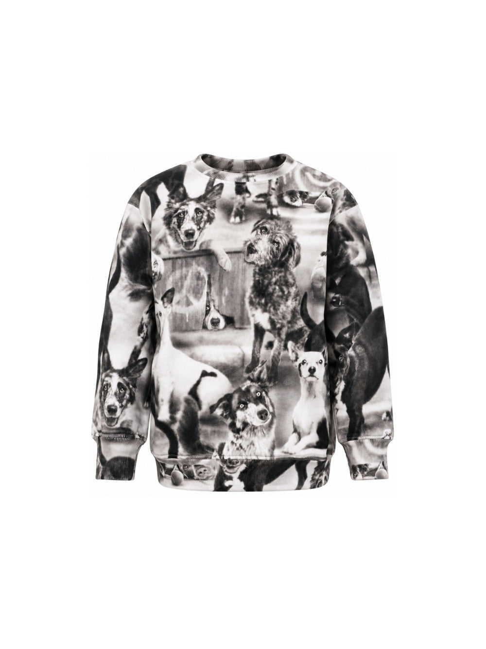 Felpa per bambino Molo Kids bianca e nera con stampa grafica animali all-over 1W26J201 6248 MOLO KIDS 