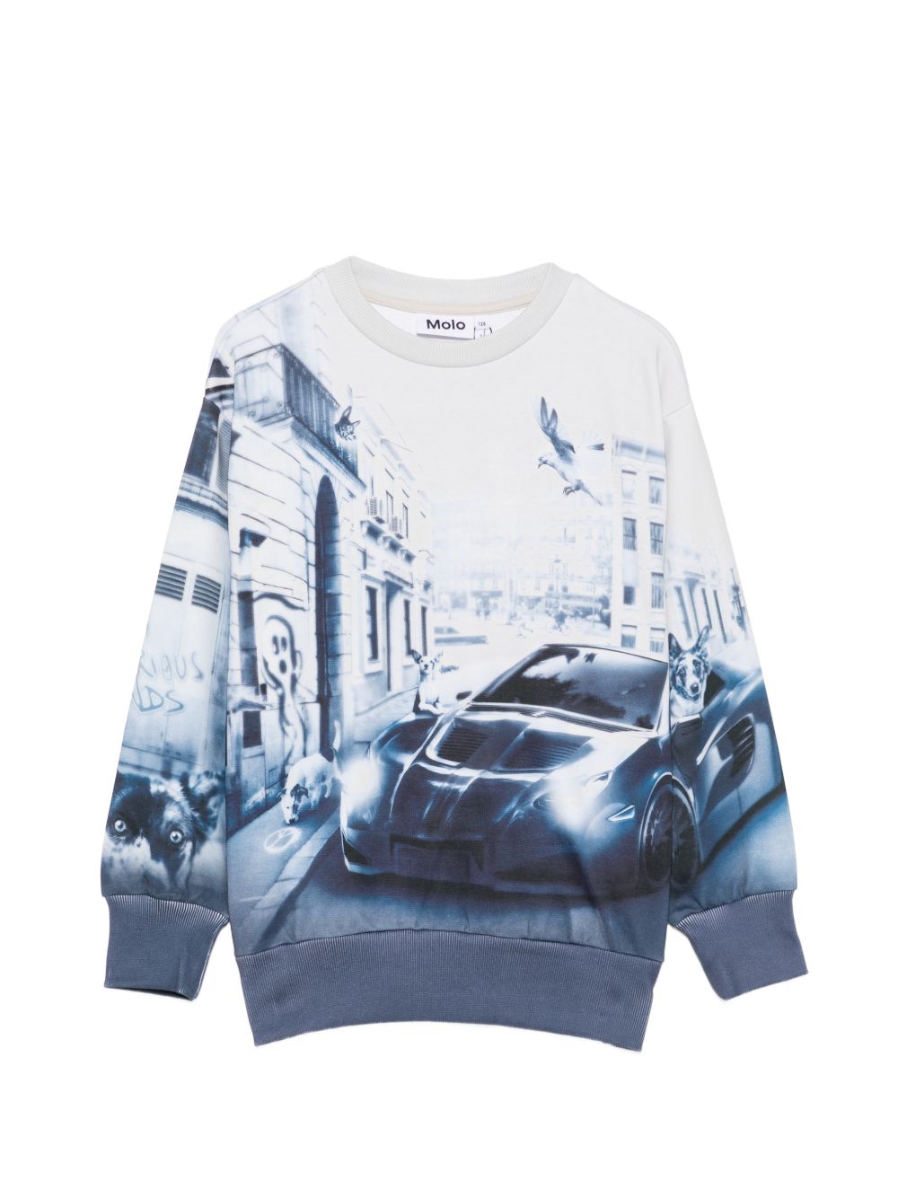 Felpa per bambino Molo azzurra con stampa grafica 1W26J203 5921 MOLO KIDS 