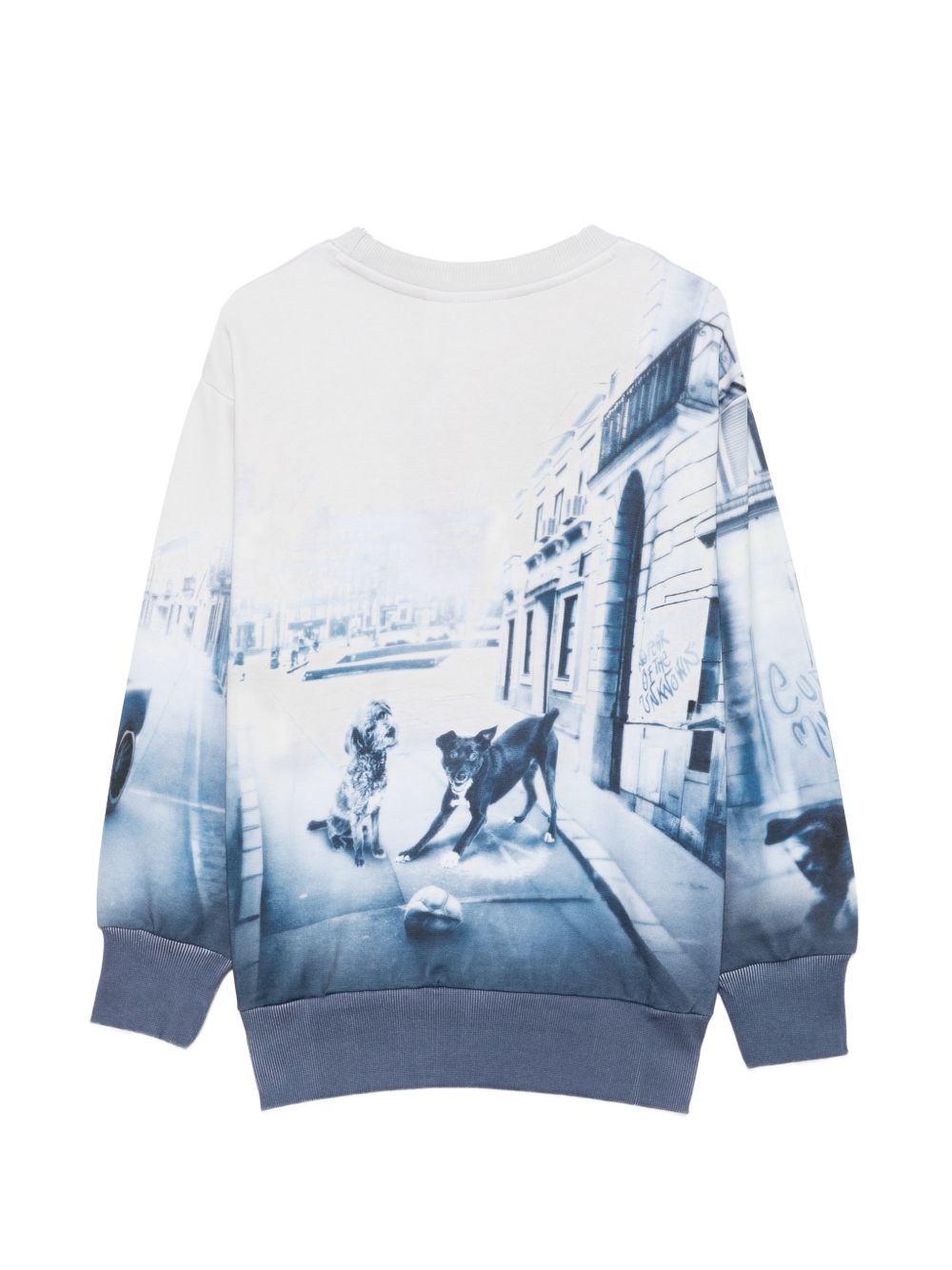 Felpa per bambino Molo azzurra con stampa grafica 1W26J203 5921 MOLO KIDS 
