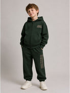 Felpa per bambino Molo Kids verde con stampa grafica fronte/retro 1W26J304 5721 MOLO KIDS 