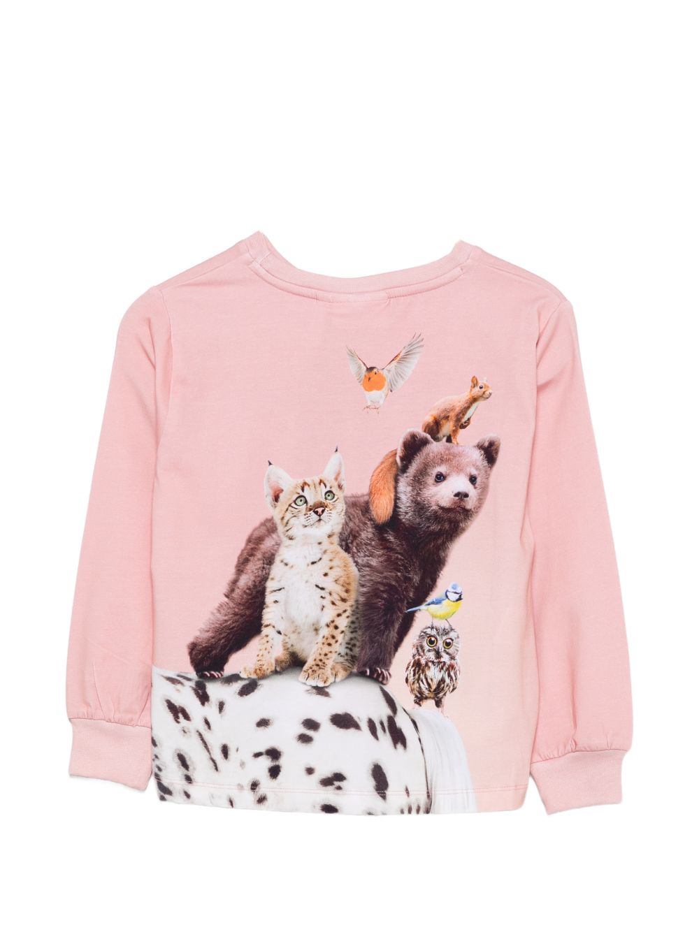 T-shirt per bambina Molo Kids rosa a maniche lunghe 2W26A411 5751 MOLO KIDS 