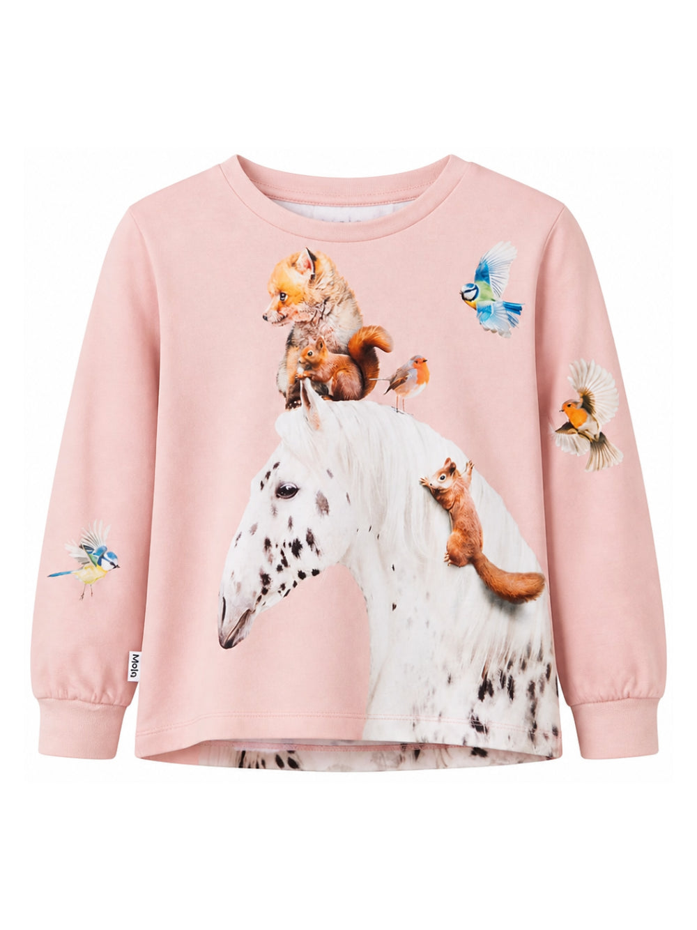 T-shirt per bambina Molo Kids rosa a maniche lunghe 2W26A411 5751 MOLO KIDS 