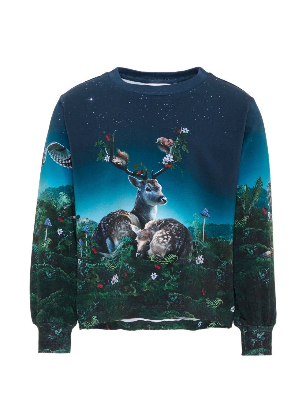 Felpa per bambina Molo Kids blu con stampa grafica animali 2W26A411 5794 MOLO KIDS 