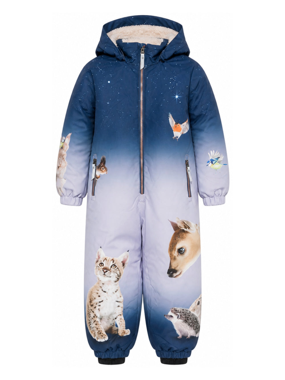Tuta da neve per bambino Molo Kids blu con stampa grafica animali 5W26N203 5713 MOLO KIDS 