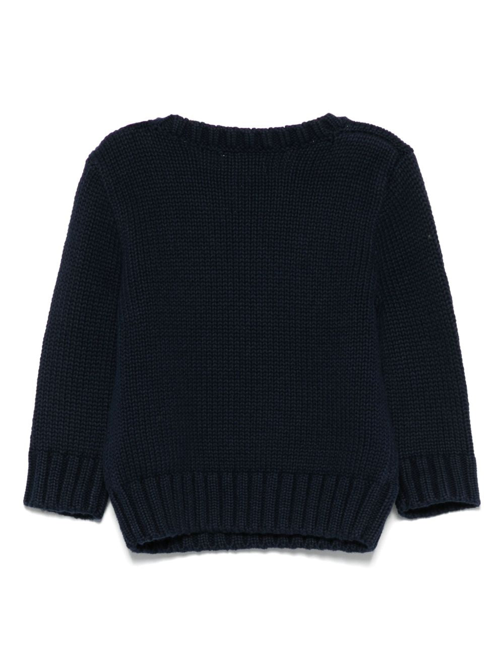 Maglione per neonato Ralph Lauren Kids blu navy con stampa grafica sul davanti 320668285 001 Ralph Lauren kids 