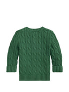Maglione per neonato Polo Ralph Lauren Kids verde con motivo Polo Pony ricamato 320702674 503 Ralph Lauren kids 