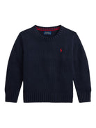 Maglione per bambino Polo Ralph Lauren Kids blu con caratteristico motivo Polo Pony 322970429 005 Ralph Lauren kids 